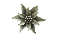 Hill Tribe - Fine Silver